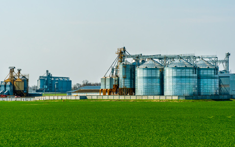 Fertilizer Industry